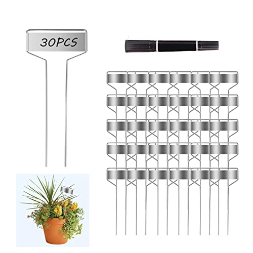 30pcs Plant Labels Plant Markers for Outdoor Plants 6inch Plant Labels for Seedlings Outdoor Garden Waterproof Plant Tags and Labels for Flower Vegetable Herbs Greenhouse (6 in, Silver) - color: Silver, size: 6 in