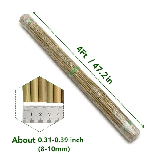 60Pcs Bamboo Stakes for Plant 4 Feet, Garden Bamboo Plant Stakes for Plants Support, Bamboo Sticks for Climbing Plants, Tomatoes, Sunflowers, Beans, Potted Plants, Trees - size: 4ft-60 Pcs