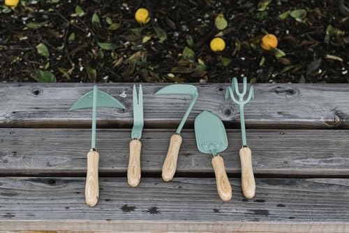 Barebones Triangle Hoe - Stainless Steel Blade Japanese Gardening Tools for Weeding Long Handle and Hand Hoe (Ash/Mint) - color: Ash/Mint, size: Triangle Hoe