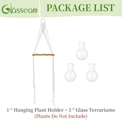 Glasseam Wall Hanging Propagation Station with 3Pcs Glass Propagation Vases