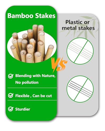 2ft Natural Bamboo Plant Stakes for Tomatoes, Beans, Flowers, Potted, Climbing Plants 30pcs - size: 2FT 30PCS