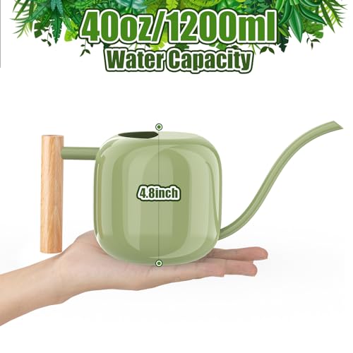 Green Moon 1.2L/41oz Metal Metal Watering Can with Long Spout, Sage Green - color: Sage Green