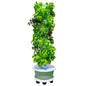 Hydroponic Growing System, Vertical Garden Tower Automatic Timer 36 -Pod