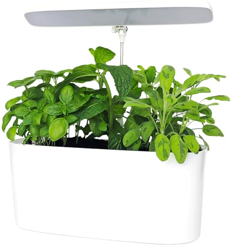 SunBlaster Nano Growlight Garden, LED Countertop Planter, Indoor Herbs