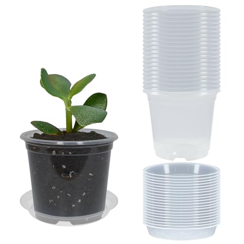 20 Pack 3 Inch Clear Nursery Pots with Drainage and 20 Pack Plant Saucers, Plant Pots for Plants Transparent Potting Containers for Plants Seeding Starter Pot (Clear, 3 Inch) - color: Clear, size: 3 Inch