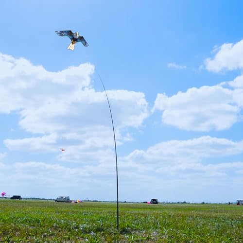 HENGDA KITE Bird Scarer Hawk Flying Kite ONLY 4M Pole Without Kite