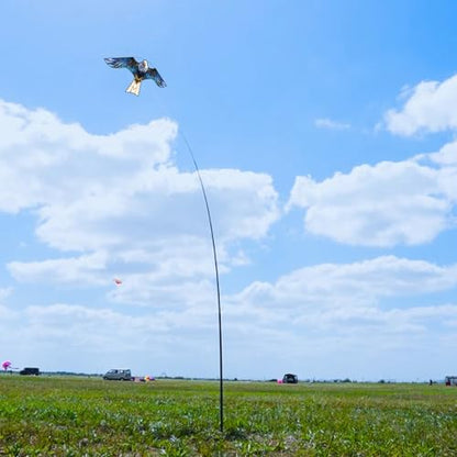 HENGDA KITE Bird Scarer Hawk Flying Kite ONLY 4M Pole Without Kite
