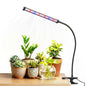 Grow Lights for Indoor Plants, Clip-On LED Clamp, Single Head - size: Clamp-1 Head