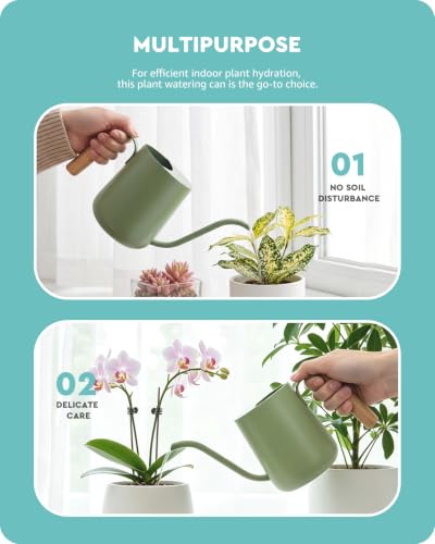 Baffect Watering Can Indoor Plants with Long Spout, 1L / 35oz (Sage Green) - color: Sage Green
