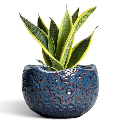 8 Inch Plant Pot, Ceramic Planter for Indoor Plants, Retro Blue - color: Retro Blue, size: 8.2 Inch