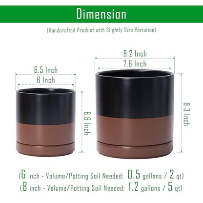 D'vine Dev 2-Pack Ceramic Pots with Saucers, 6/8 in, Black/Tan, 94-G-M-7 - color: Black/Speckled Tan, size: Medium