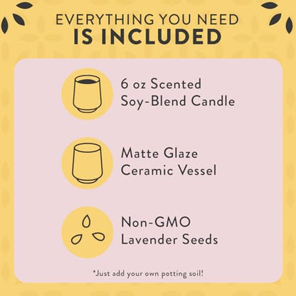 Modern Sprout Soy Candle Planter - Grows Lavender -Cedarwood Scent - 2-Pack - size: Pack of 2