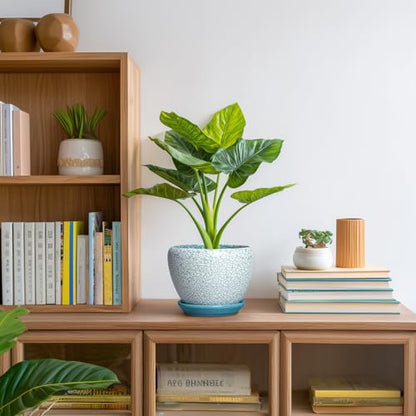Ceramic Plant Pot, 6 Inch Indoor Planters, Crackle Blue - color: Crackle Blue, size: 6 Inch