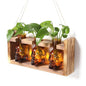 Plant Terrarium Propagation Stations Skull Planter Vase Skulls Decor - color: Amber