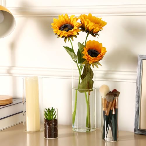 Fixwal 12 Pack Clear Glass Cylinder Vases, 4, 6, 8, 10 Inch Tall - size: 12pcs