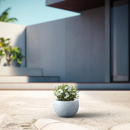 Kante Small Round Bowl Blue Gray Concrete Planter 11.8" Dia, Outdoor - color: Gray, size: 11.8" d