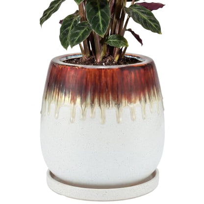 10.3 Inch Ceramic Glaze Plant Pot with Saucer, Flower Pots with Drainage Hole Mesh Net (Hemp-White) - color: Hemp White