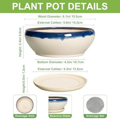 SQOWL Succulent Pots 6 Inch, Ceramic Bonsai Pots with Saucer, Blue-Beige - color: Blue-beige, size: 6 Inch