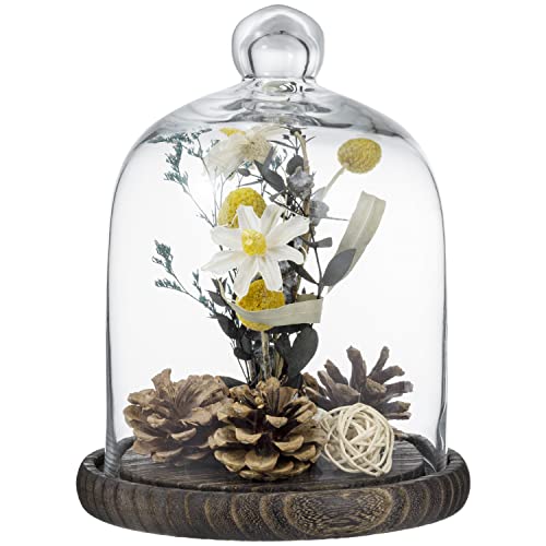 MyGift 9 Inch Clear Glass Cloche Dome Bell Jar With Wood Base