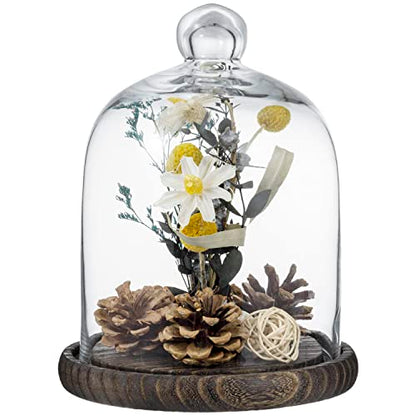 MyGift 9 Inch Clear Glass Cloche Dome Bell Jar With Wood Base