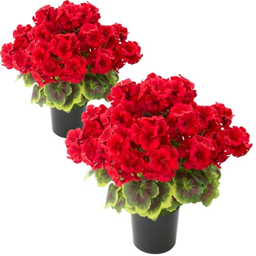 lovemoon 2 Pcs Geranium Potted Artificial Flowers, Red, 19" - color: Red