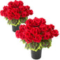 lovemoon 2 Pcs Geranium Potted Artificial Flowers, Red, 19" - color: Red