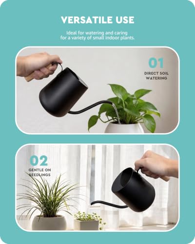Baffect Watering Can Indoor Plants with Long Spout, 1L / 35oz (Black) - color: Black