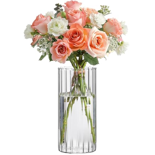 ComSaf Glass Cylinder Vase 8 Inch Tall, Clear Ribbed Decor for Centerpieces - color: Clear
