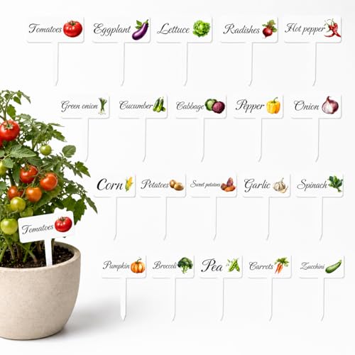 20Pcs Vegetable Plant Labels, 20 Styles Acrylic Garden Stakes Tags - color: White, size: 2.7 x 4 in