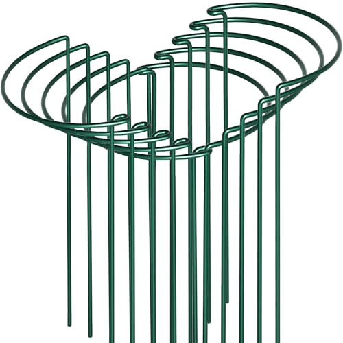 10 Pack Peony Cages and Supports, 10" (W) x 24"(H) Plant Support, Heavy-Duty Metal Plant Support Stakes, Plant Stakes for Outdoor & Indoor Plants, Perfect for Flowers and Vegetable - size: 10"x24"-10pcs
