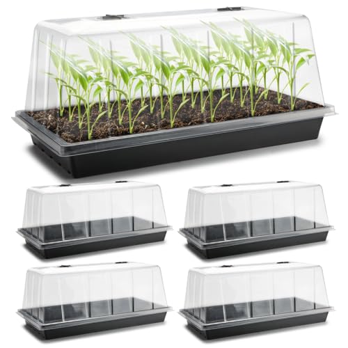 1020 Seed Starting Trays with Tall 7.3" Humidity Dome, No Hole, 5-Pack - size: 5p 1020Trays+7.3''Domes