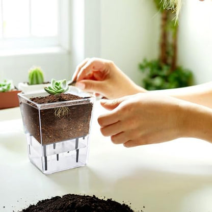 Self Watering Pots Set, Clear Self Planter Pot for Indoor Plants - size: 3Pcs Small