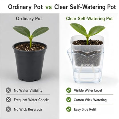 12 Pack 2.5 Inch Clear Self Watering Pots for Indoor Plants