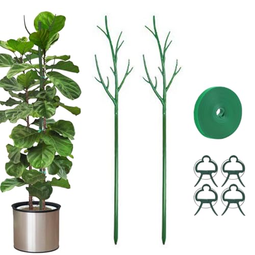 Plant Support Stakes for Indoor Plants, 2-Pack Plant Trellis, Green - color: Green, size: 2 Pack Style B