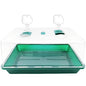 Propagator Tray with Vented Dome, Thick Mini Greenhouse for Seedlings
