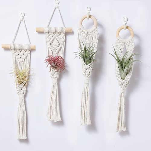4 Pack Air Plant Holder, Air Plant Wall Hanger, Wall Plant Holder - color: White, size: Single