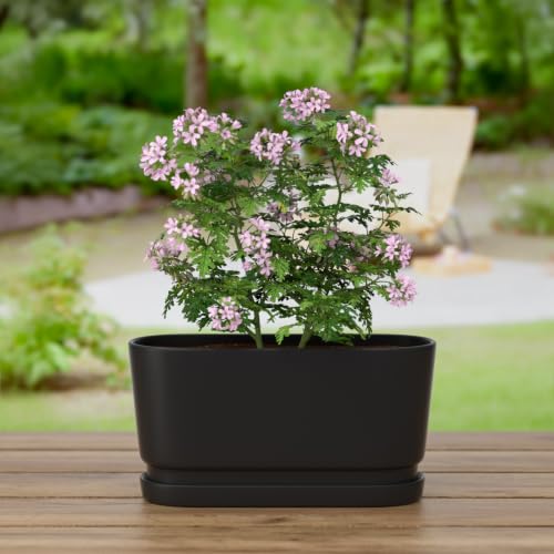 13" Rectangular Ceramic Planter with Drainage and Saucer, Black - color: Matte Black, size: Large