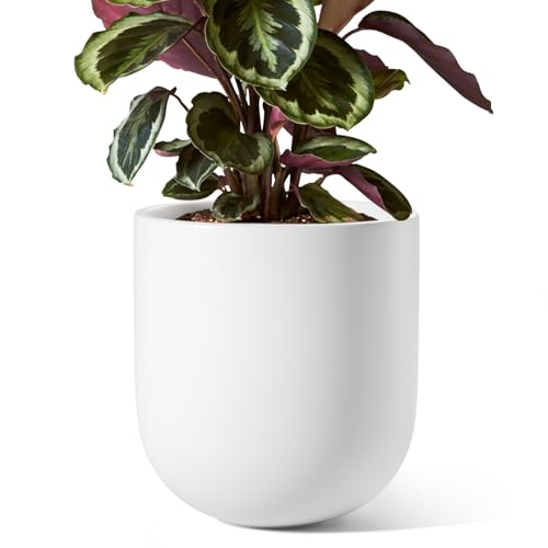 LE TAUCI 8 Inch Ceramic Plant Pot, Indoor Planter, White - color: White, size: 8 Inch