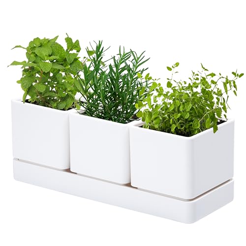 D'vine Dev Plastic Herb Garden Planter Set, White, 76-V-A-1 - color: White, size: 12"