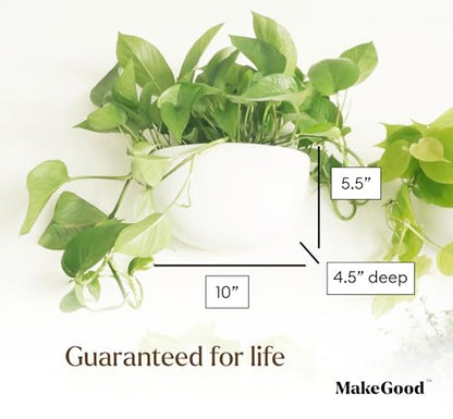 Make Good Virgo Wall Planters (Wide, Set of 6) - Easy to Water and Install - Lightweight - Design Your Own Vertical Garden - Melamine Plastic