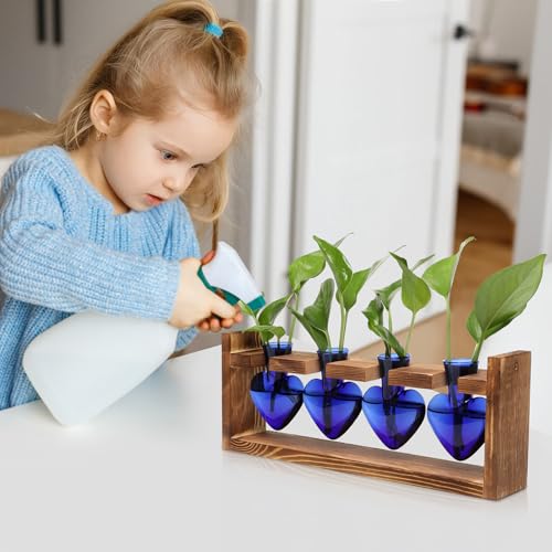 Plant Propagation Stations Heart Plant Terrarium Kit - color: Blue