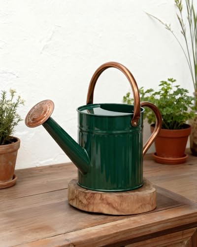 Bamworld Metal Watering Can for Indoor Outdoor Plant 1/2 Gallon Deep Green - color: Deep Green