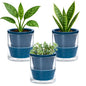 D'vine Dev Self-Watering Blue Terracotta Planter, 4 in, 3-Pack, 37-Z-A-4-T - color: Blue