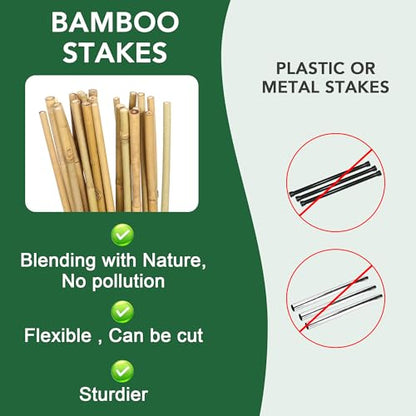 65 Pcs Bamboo Plant Stakes 4 Feet, Oltara Natural Bamboo Sticks Garden Stakes for Climbing Plants Support, Bamboo Poles,Potted Plants, Tomatoes, Beans, Flowers, Trees - size: 4 Feet-65 Pack