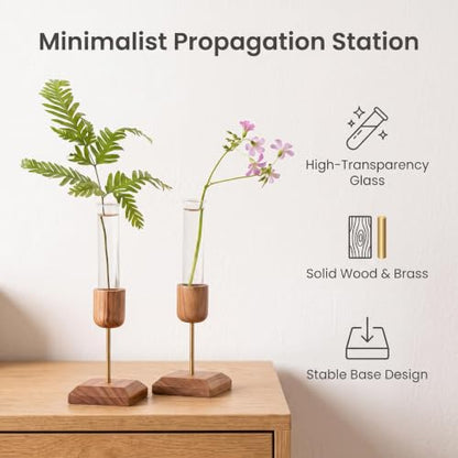 2Pcs Plant Propagation Vases with Wooden Stand