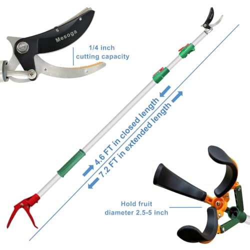 2-in-1 Fruit Picker with Tree Trimmer Pole Garden Tool