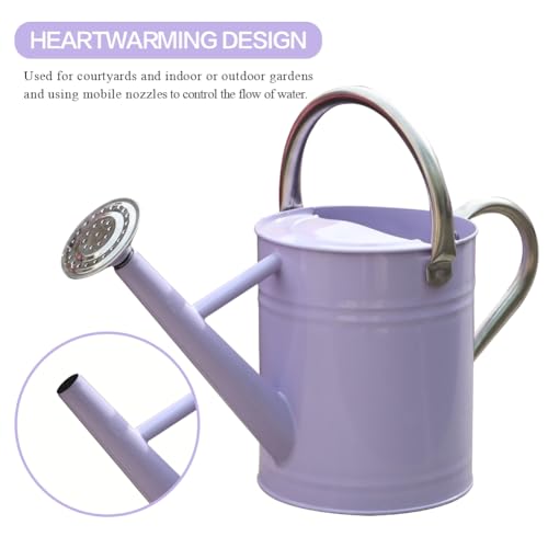 Metal Watering Can 1 Gallon for Outdoor Garden Plants,Purple - color: Purple With Stainless Steel Handle