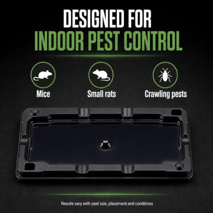 Guarden Extra-Large Glue Traps for Mice & Small Rats - size: Ten Sticky