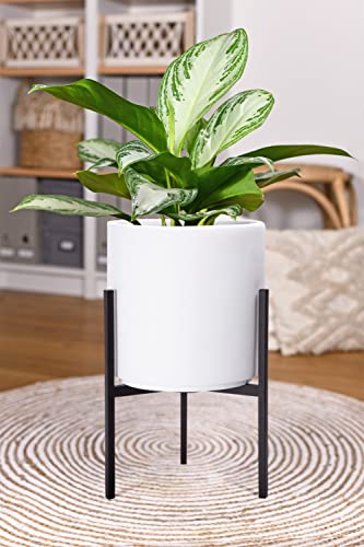 D'vine Dev Cylinder Planter Pot with Metal Stand, White, 8 in, 96-T-A-1 - color: White, size: Small 8 Inch
