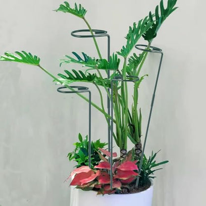 Plant Stake Support, Adjustable Height 12" or 24" for Garden Support Stake - size: 24inch